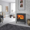 Aube EcoDesign Holzofen