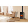 Poêle à bois Dalia Iron Four Ventilé Eider Biomasse intérieur