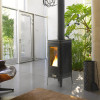 Poêle à bois Iwaki pour la maison