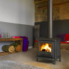 Poêle à bois Norik pour la maison