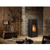 Estufa a lenha Ray Xtra Bosch Marin interior